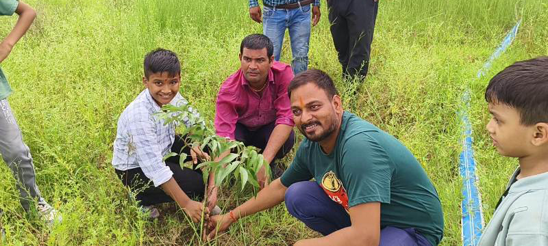 The Shape Internation School